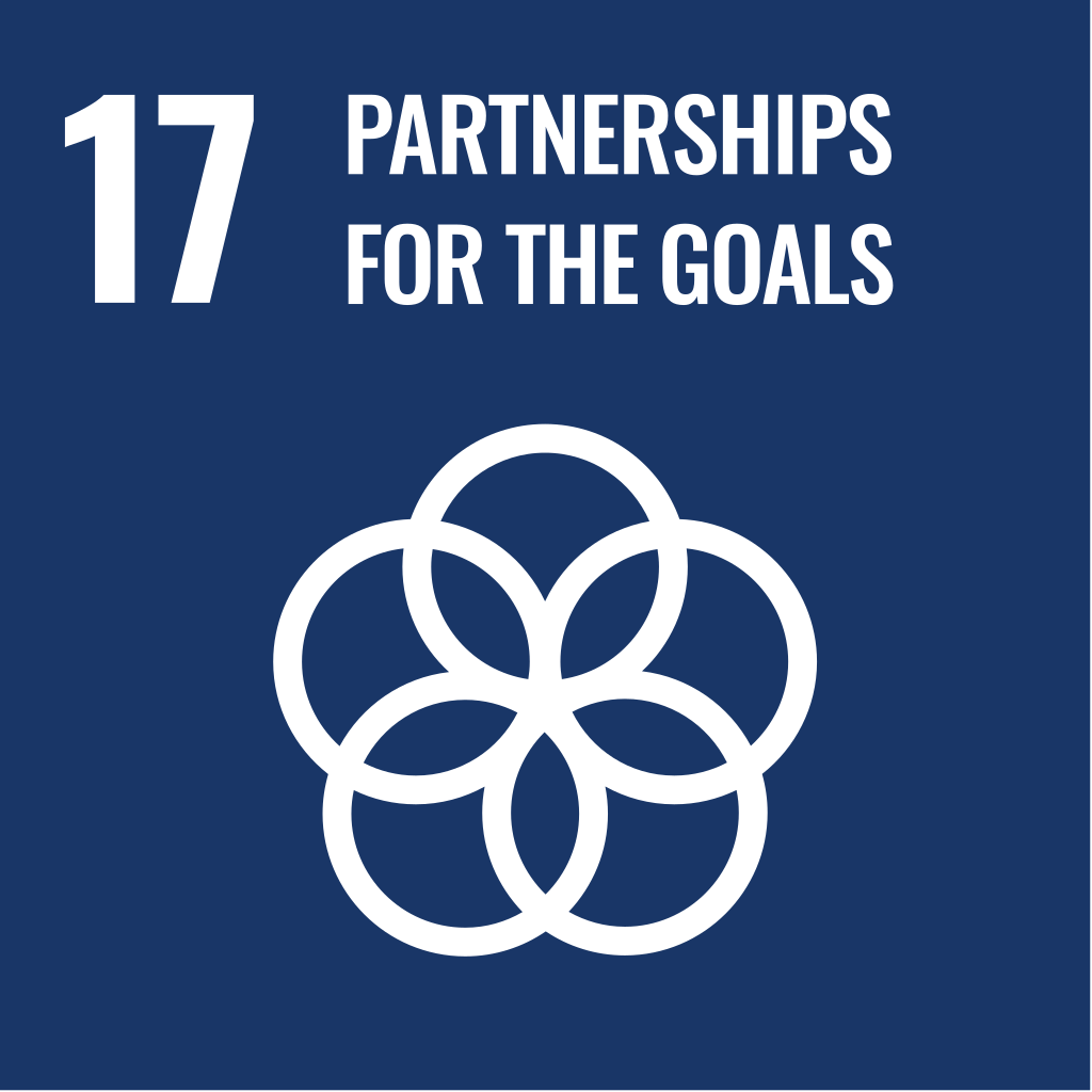 SDG 17 Partnerships